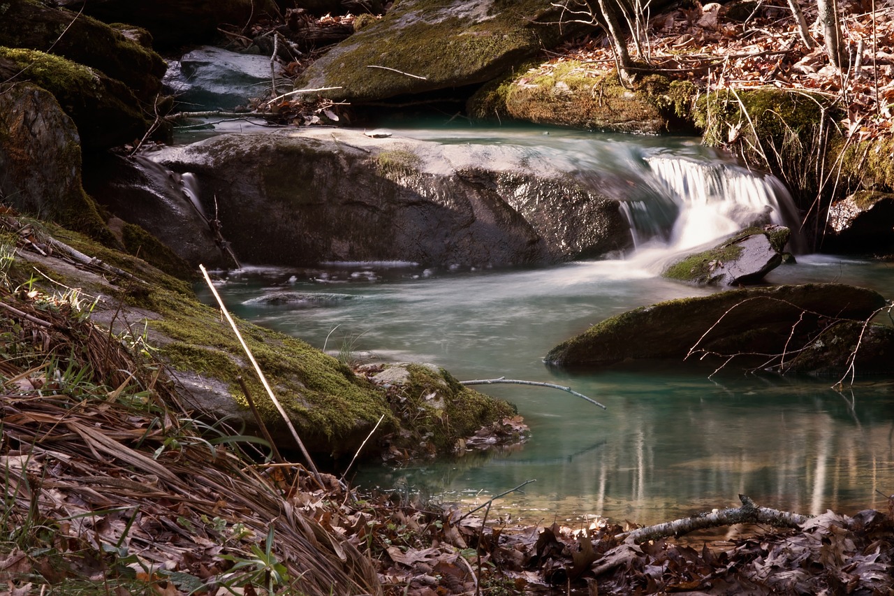 creek river stream free photo