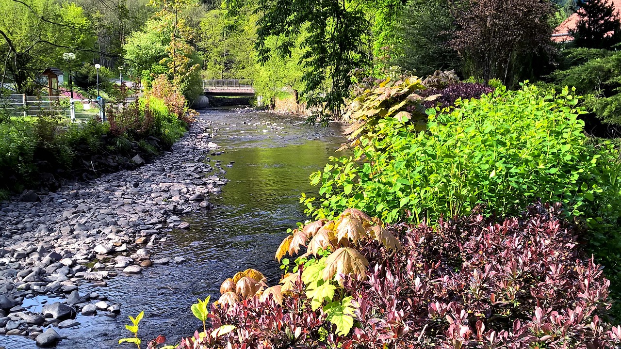 creek steinig autumn free photo