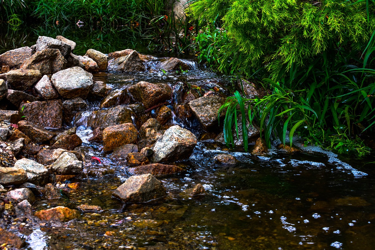 creek rocks river free photo