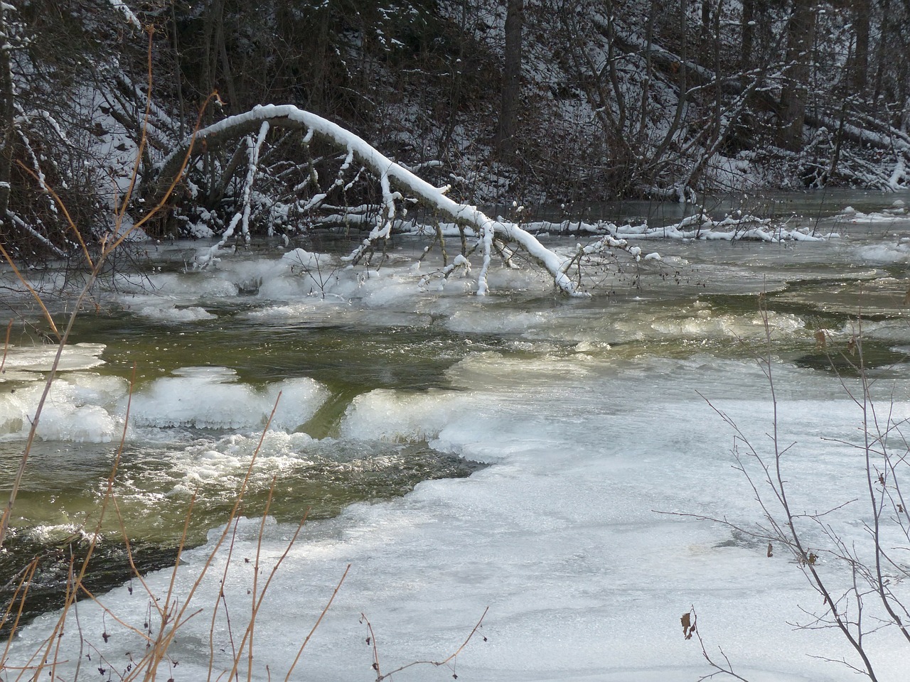 creek drifting ice ice covered free photo