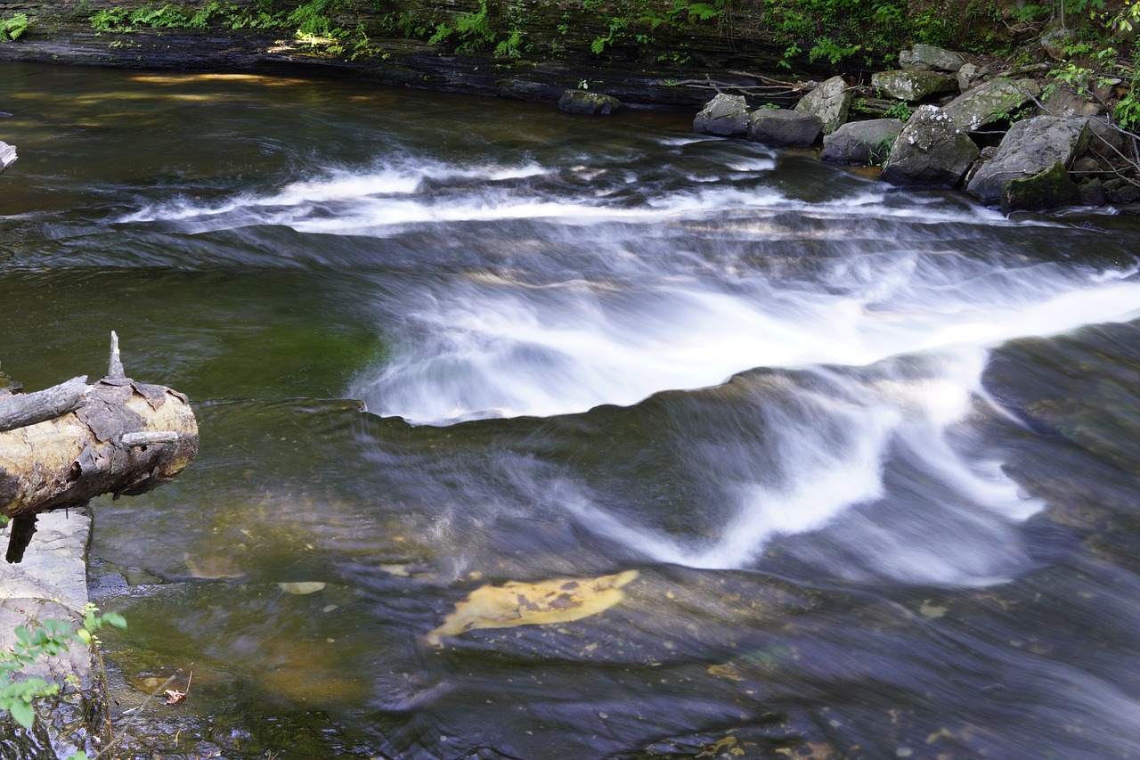 creek stream outdoor free photo