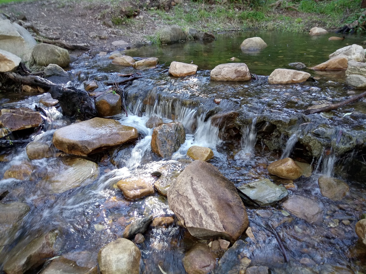 creek cascade clear water free photo