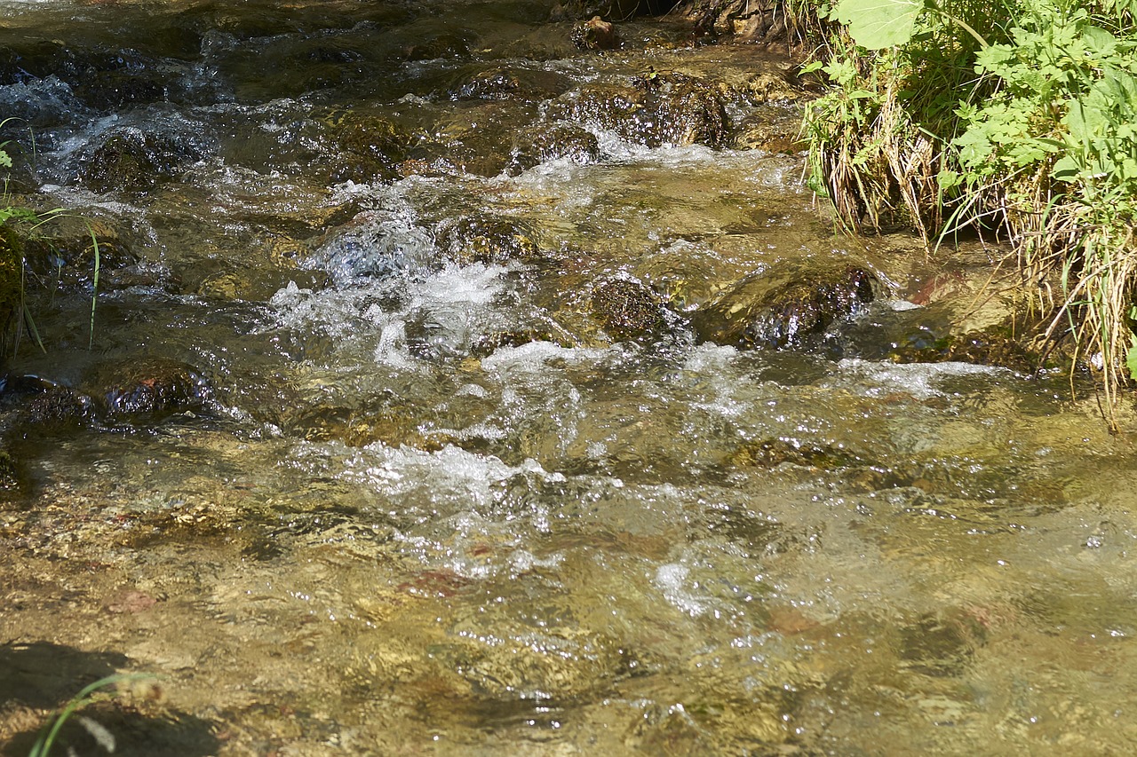 creek water purity free photo