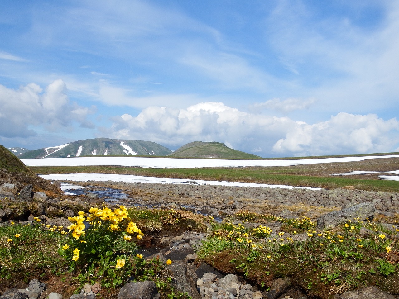 creek mountain plateau flowers free photo