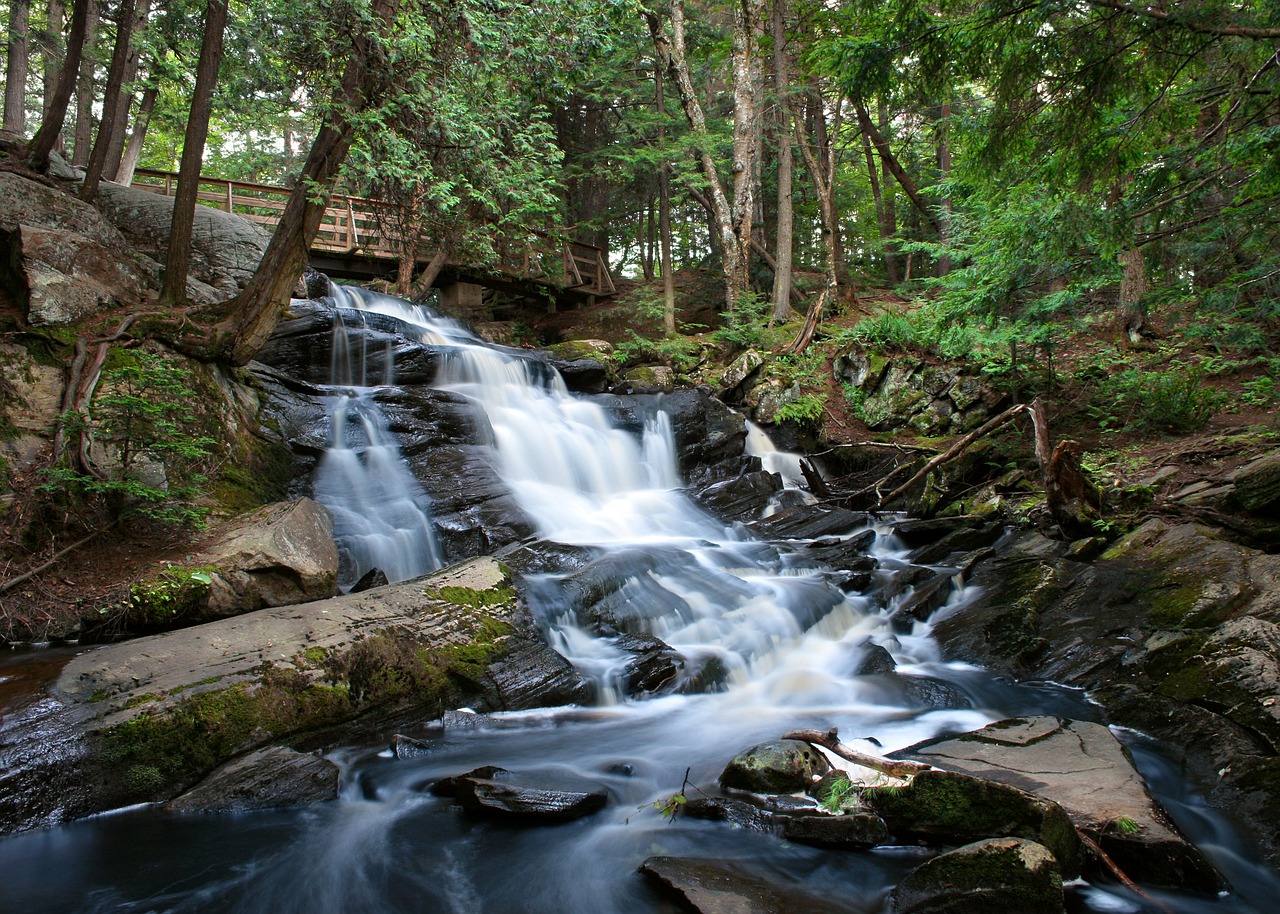 creek river waterfall free photo