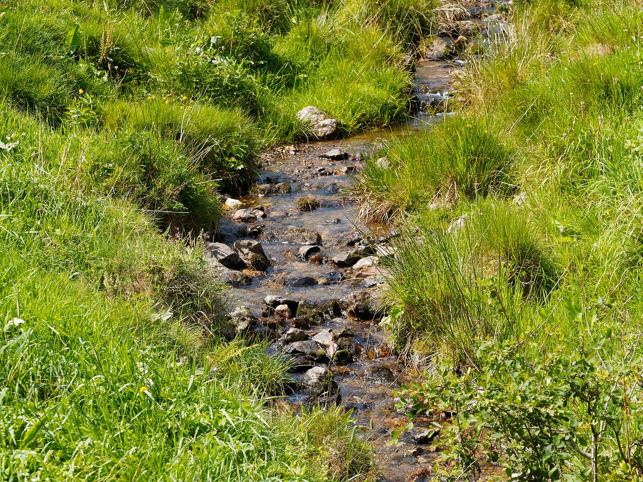 creek water cascade free photo