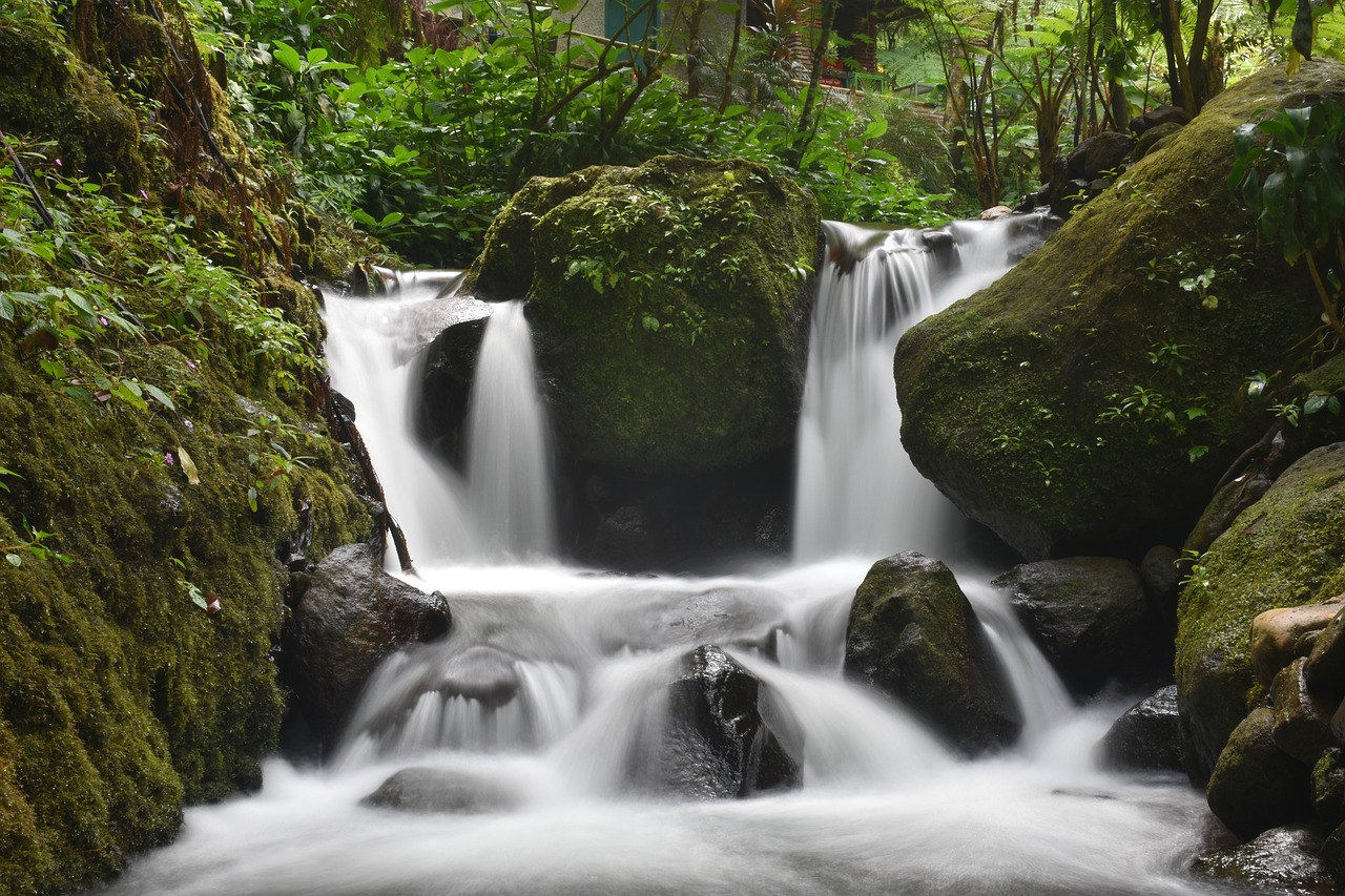 creek stream waterfall free photo