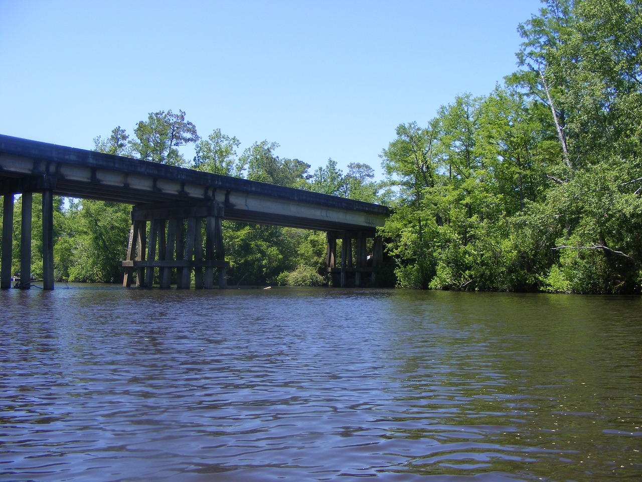 creek bridge country bridge free photo