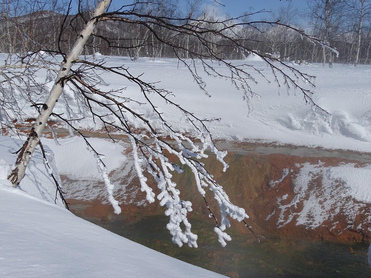 creek winter frost free photo