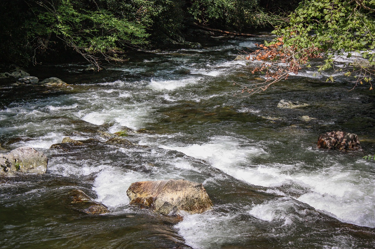 creek  rocks  stream free photo