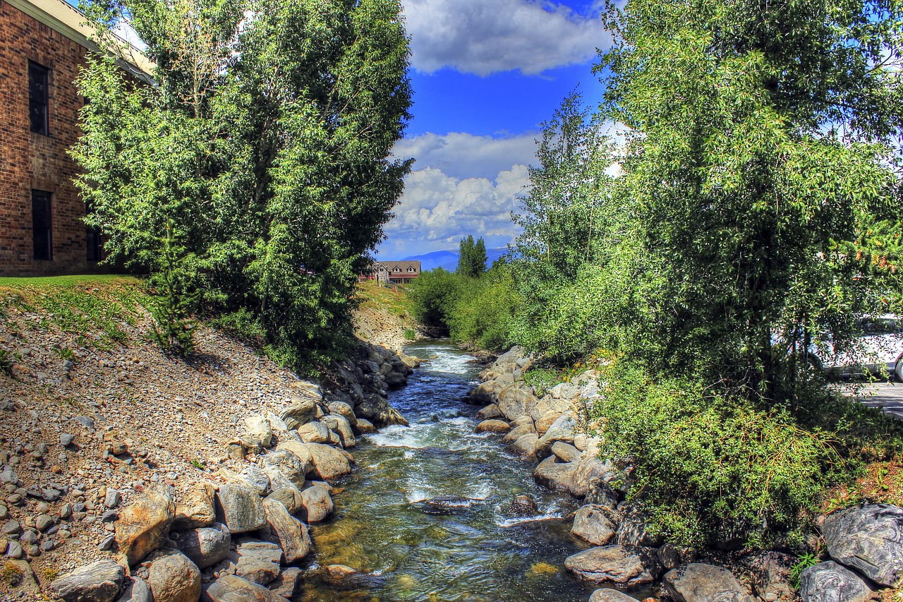 creek  colorado  trees free photo