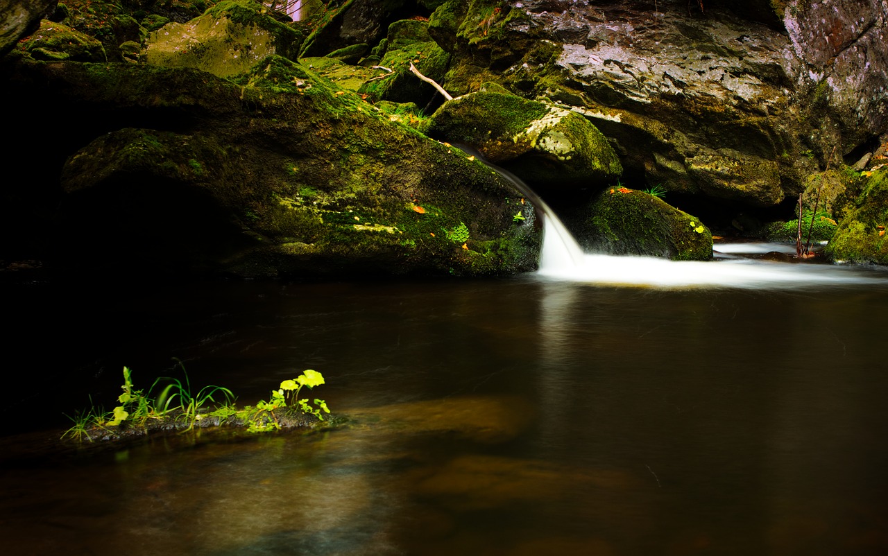 creek  waterfall  cascade free photo