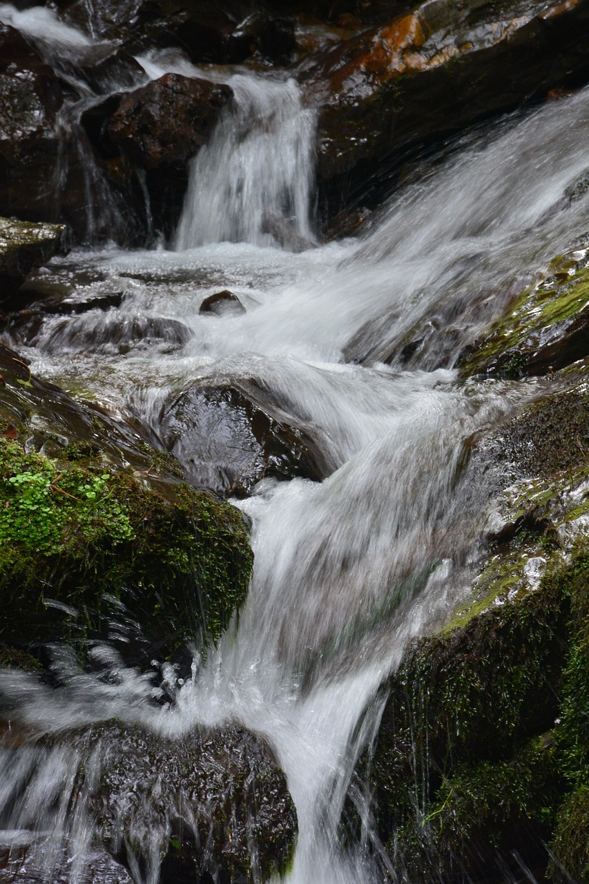 creek  waterfall  falls free photo