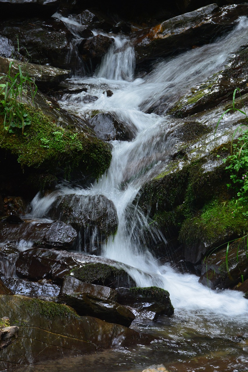 creek  waterfall  falls free photo