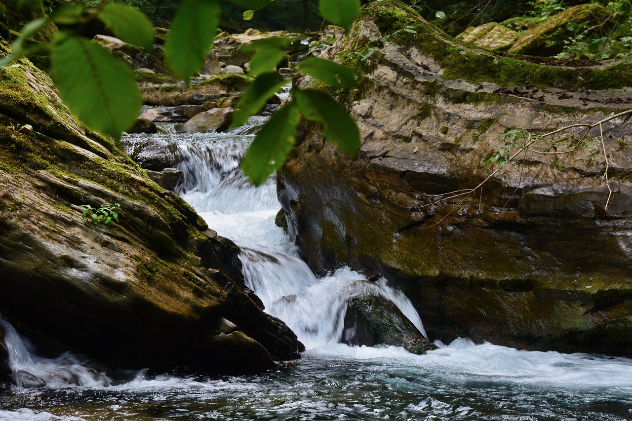 creek  waterfall  falls free photo