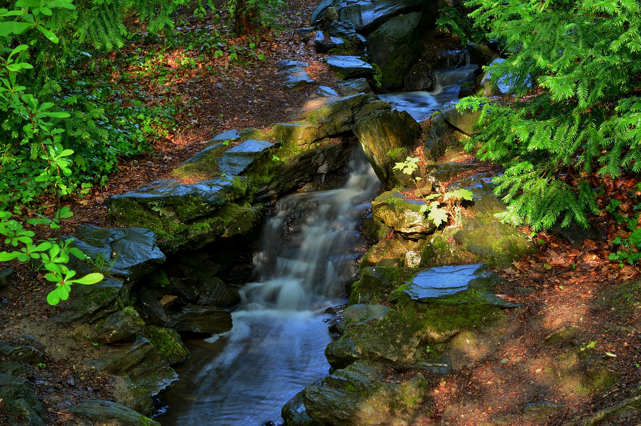 creek  park  water free photo