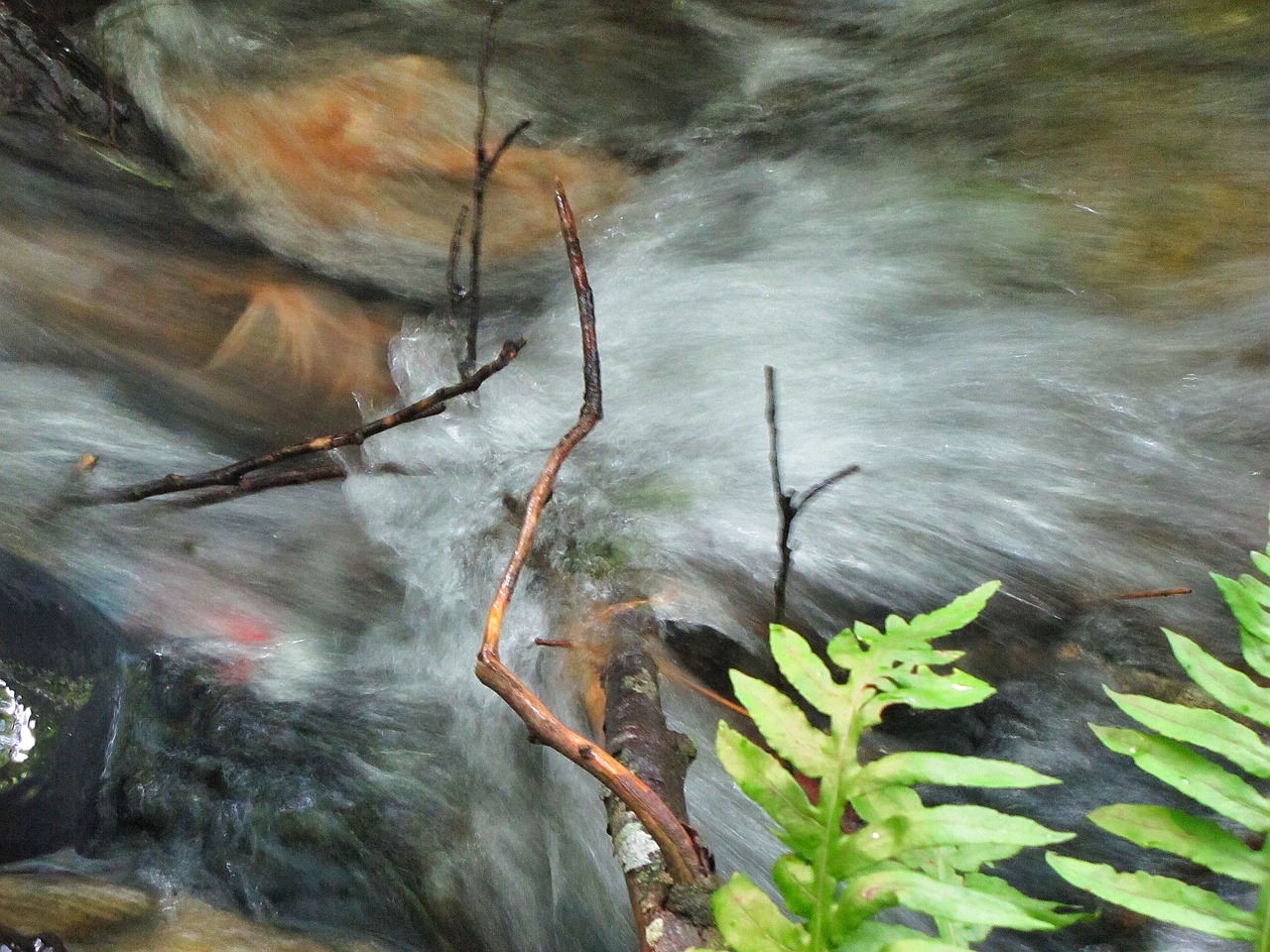 creek water flowing free photo