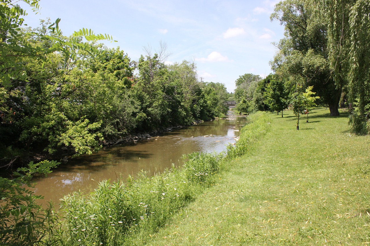 creek nature water free photo