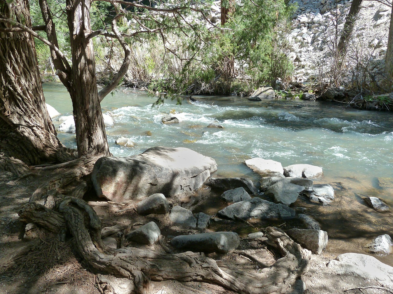 creek river water free photo