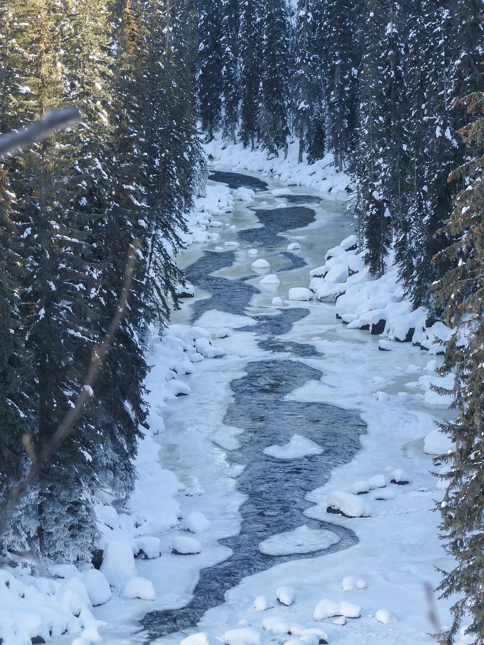 creek frozen ice free photo