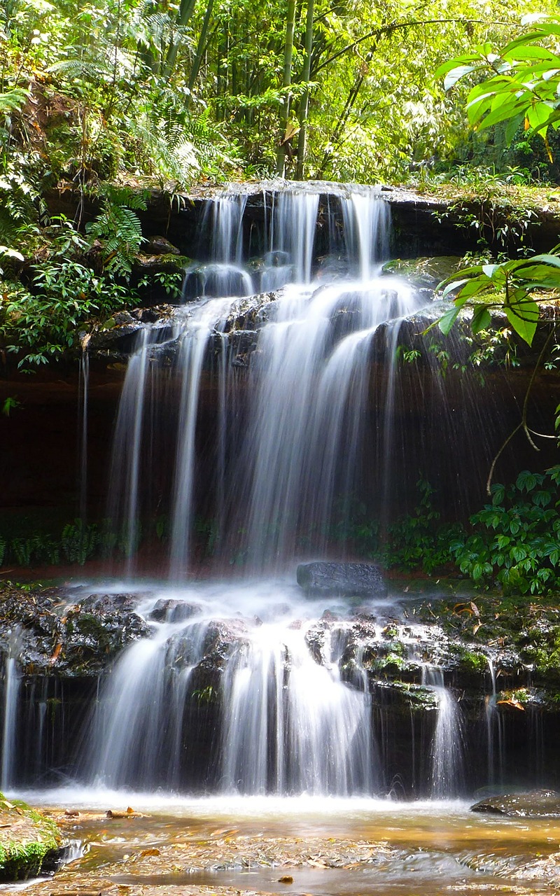 creek running water falls free photo