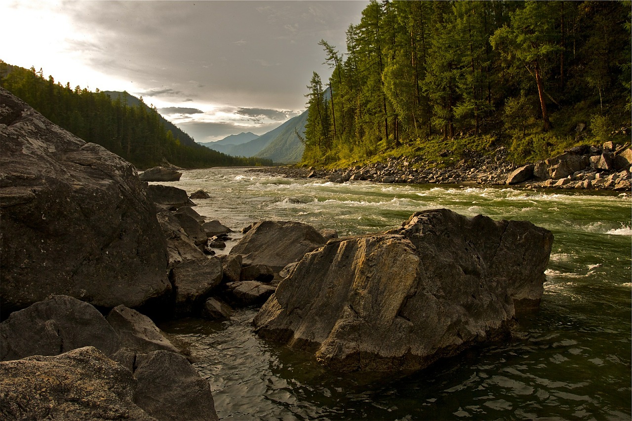 creek river nature free photo