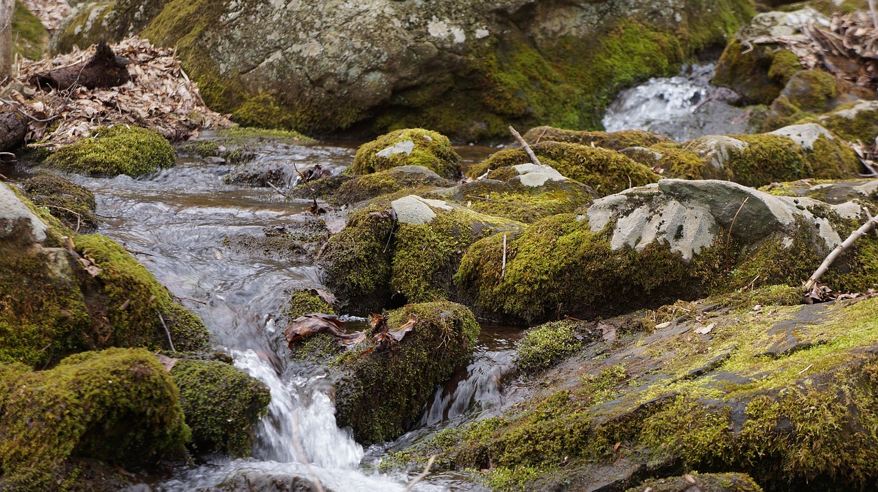 creek river flow free photo