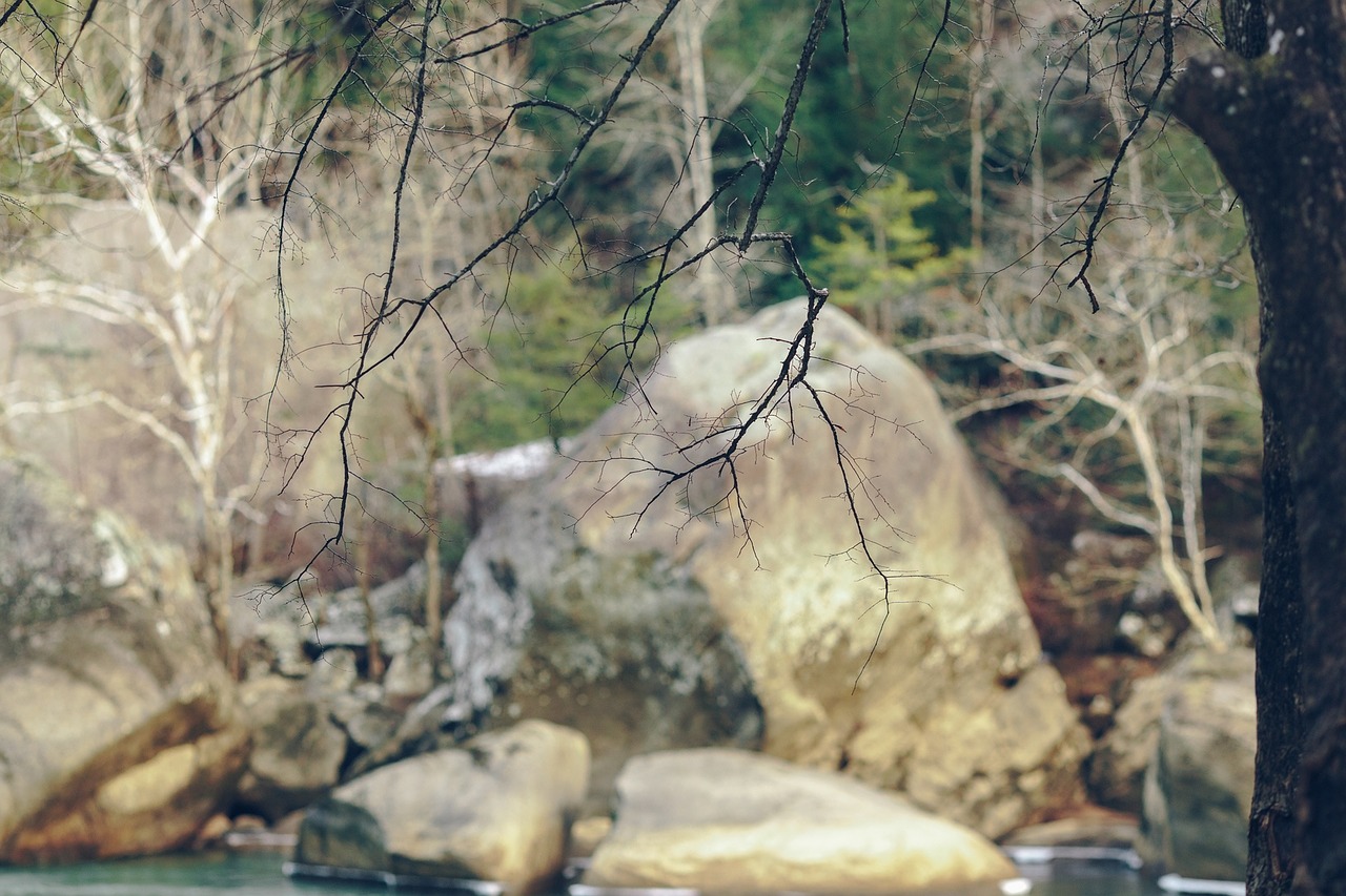 creek river rocks free photo