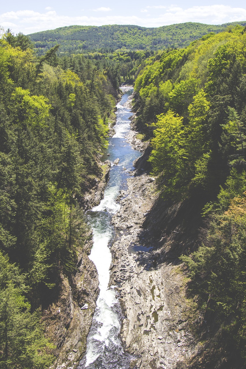 creek stream valley free photo