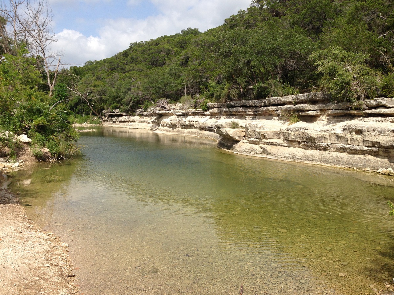 creek summer nature free photo