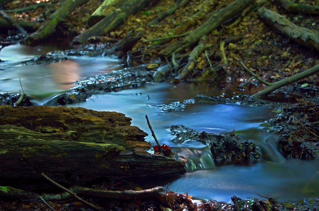 creek bach water running free photo