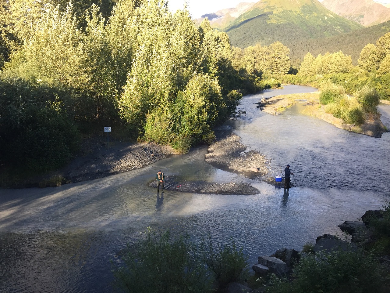 creek water fishing free photo