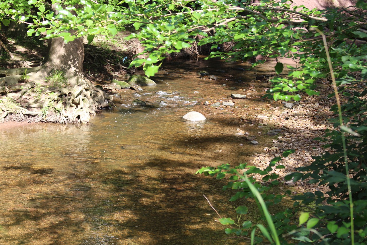 creek water pebbles free photo