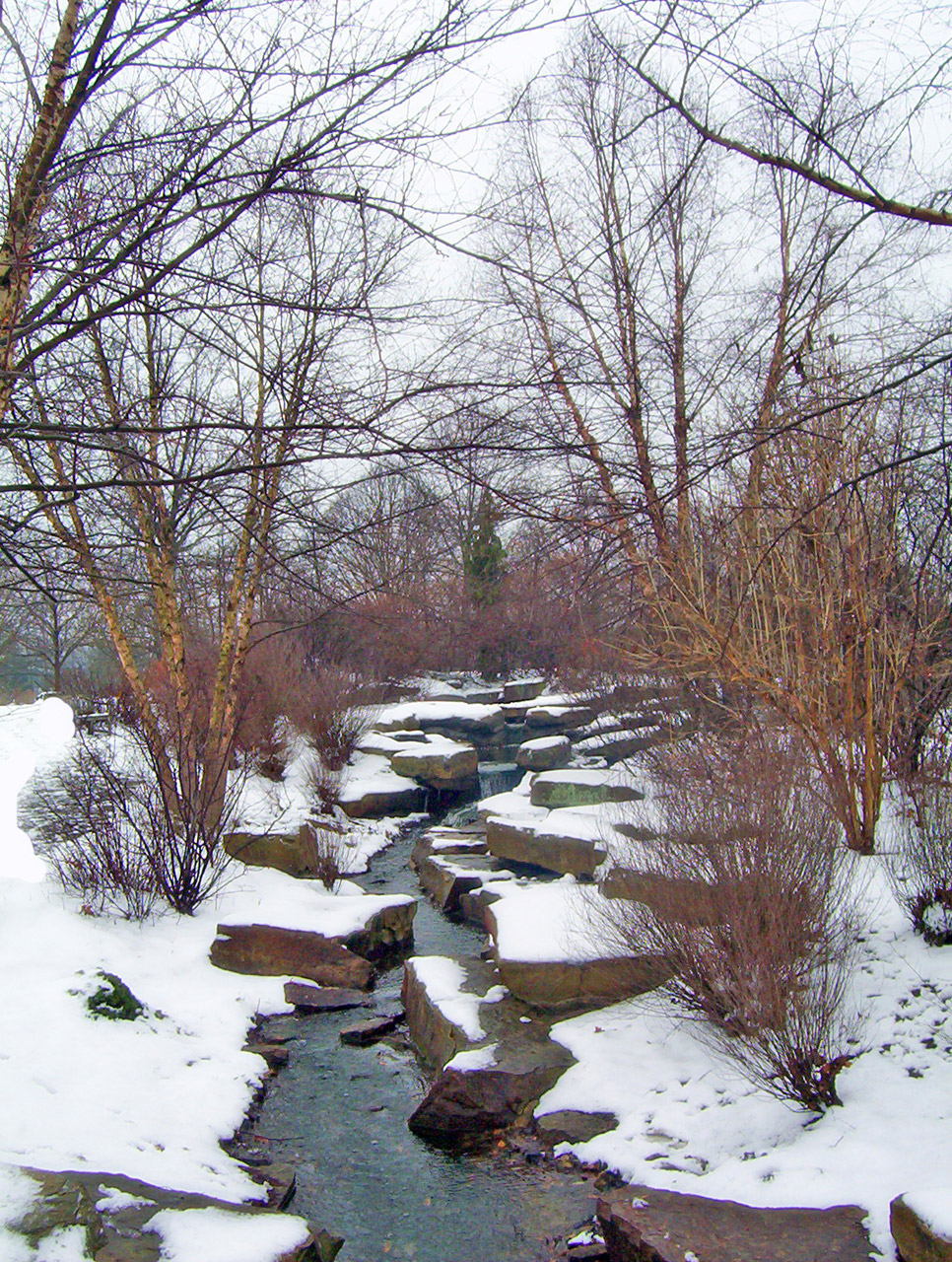 creek snow winter free photo