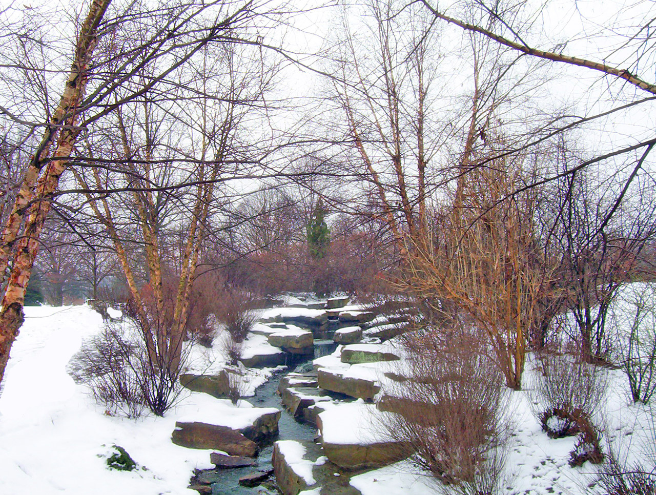 creek snow winter free photo