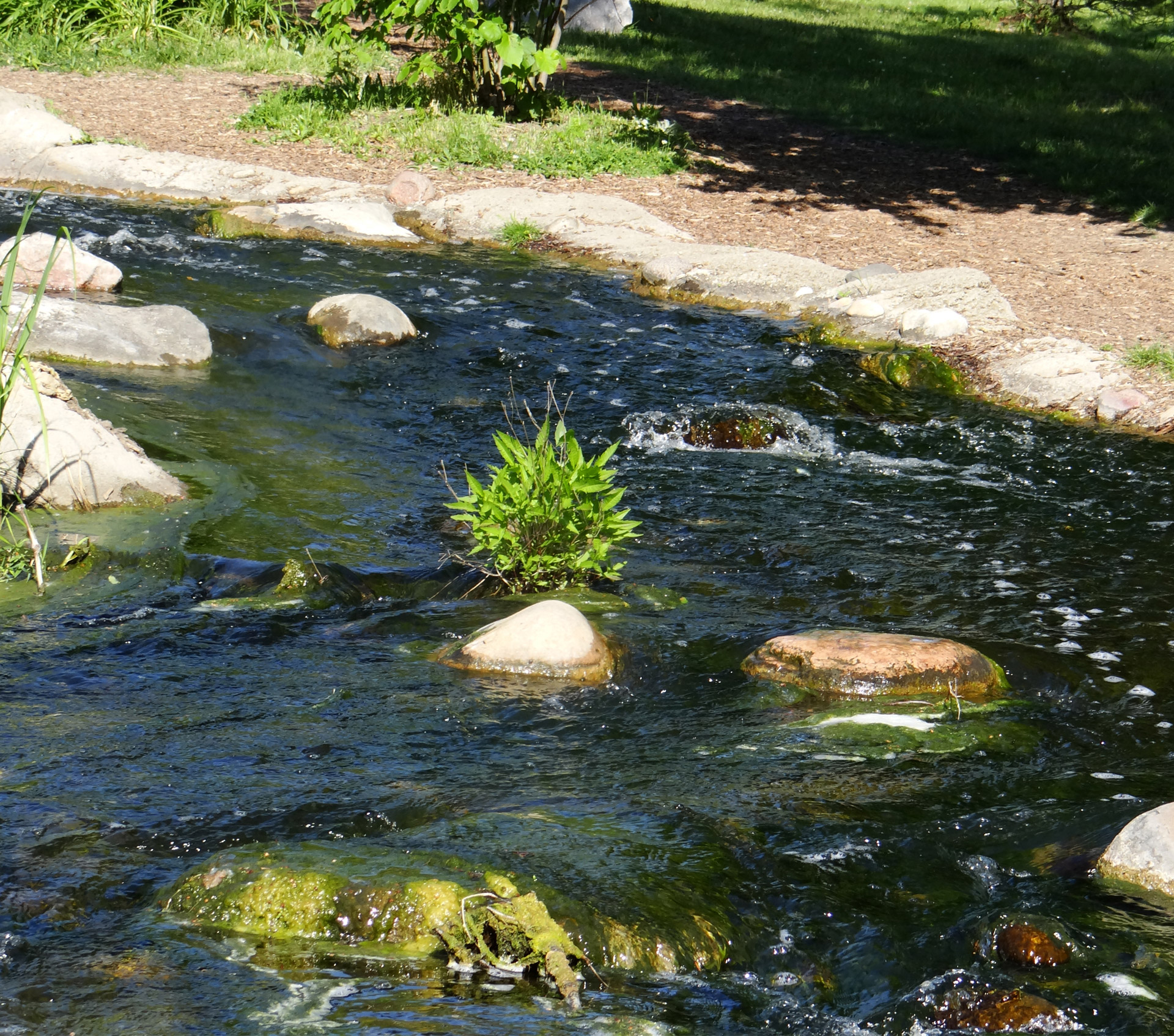 creek man made nature center free photo