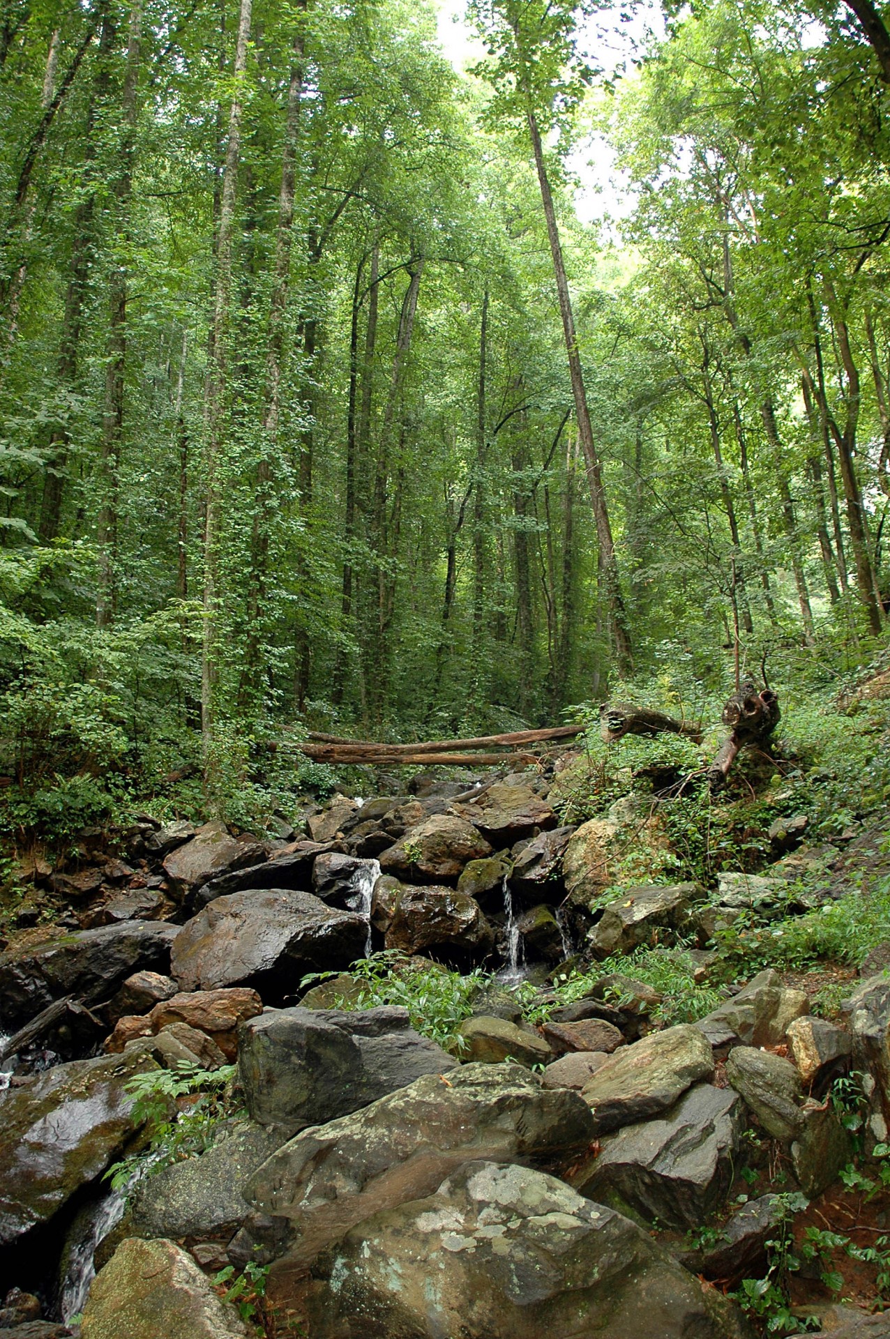 creek waterfall landscape free photo