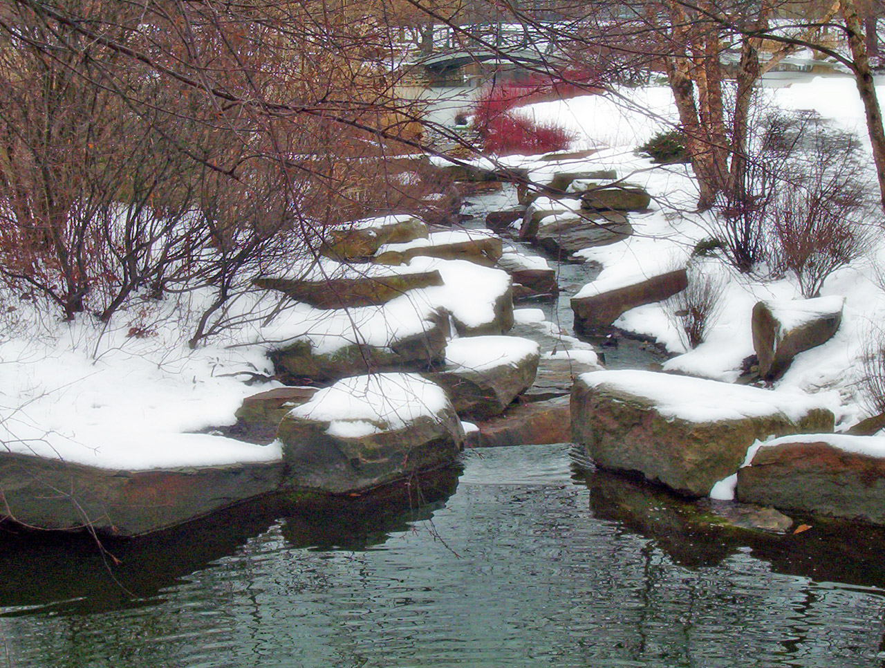 creek snow winter free photo