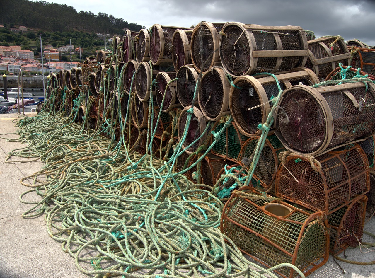 creels fishing fishing port free photo