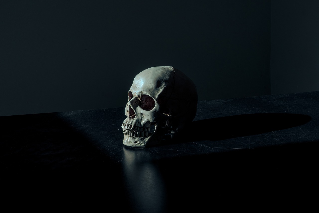 creepy dark eerie free photo