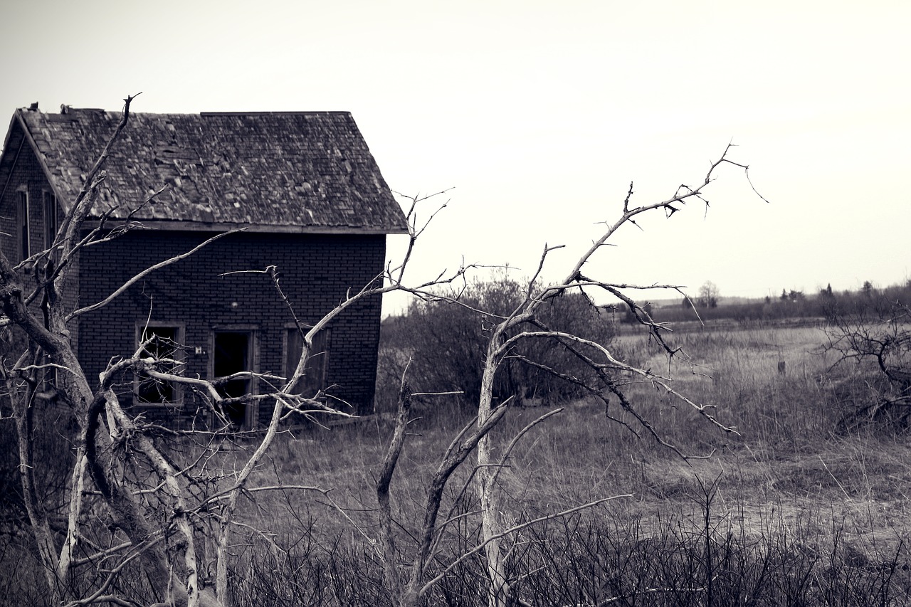 creepy  haunted  evil free photo