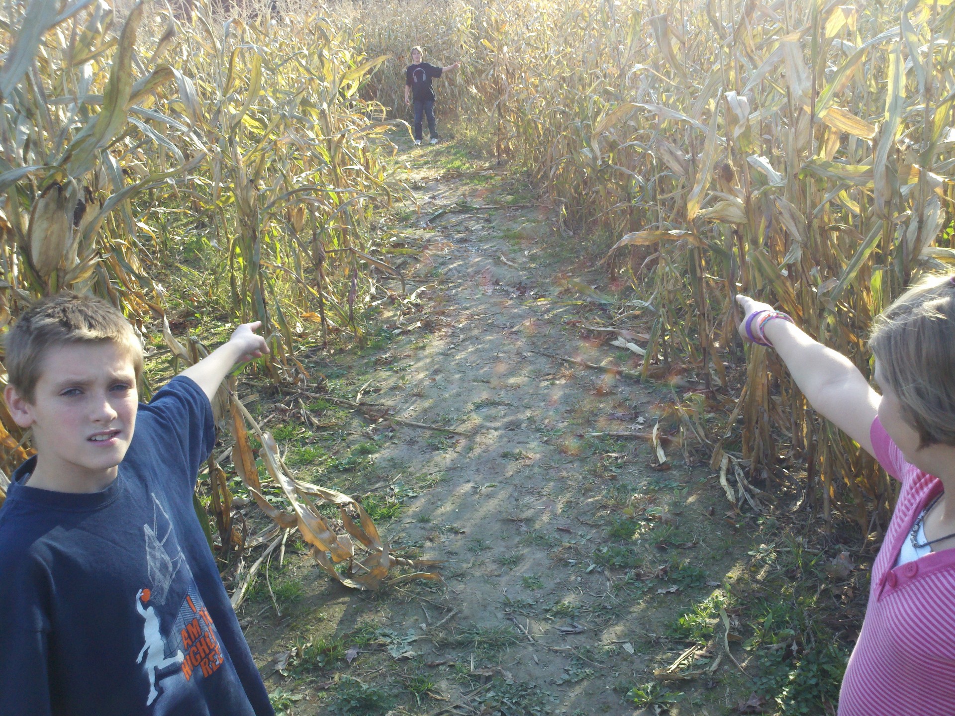 creepy cornfield kids free photo