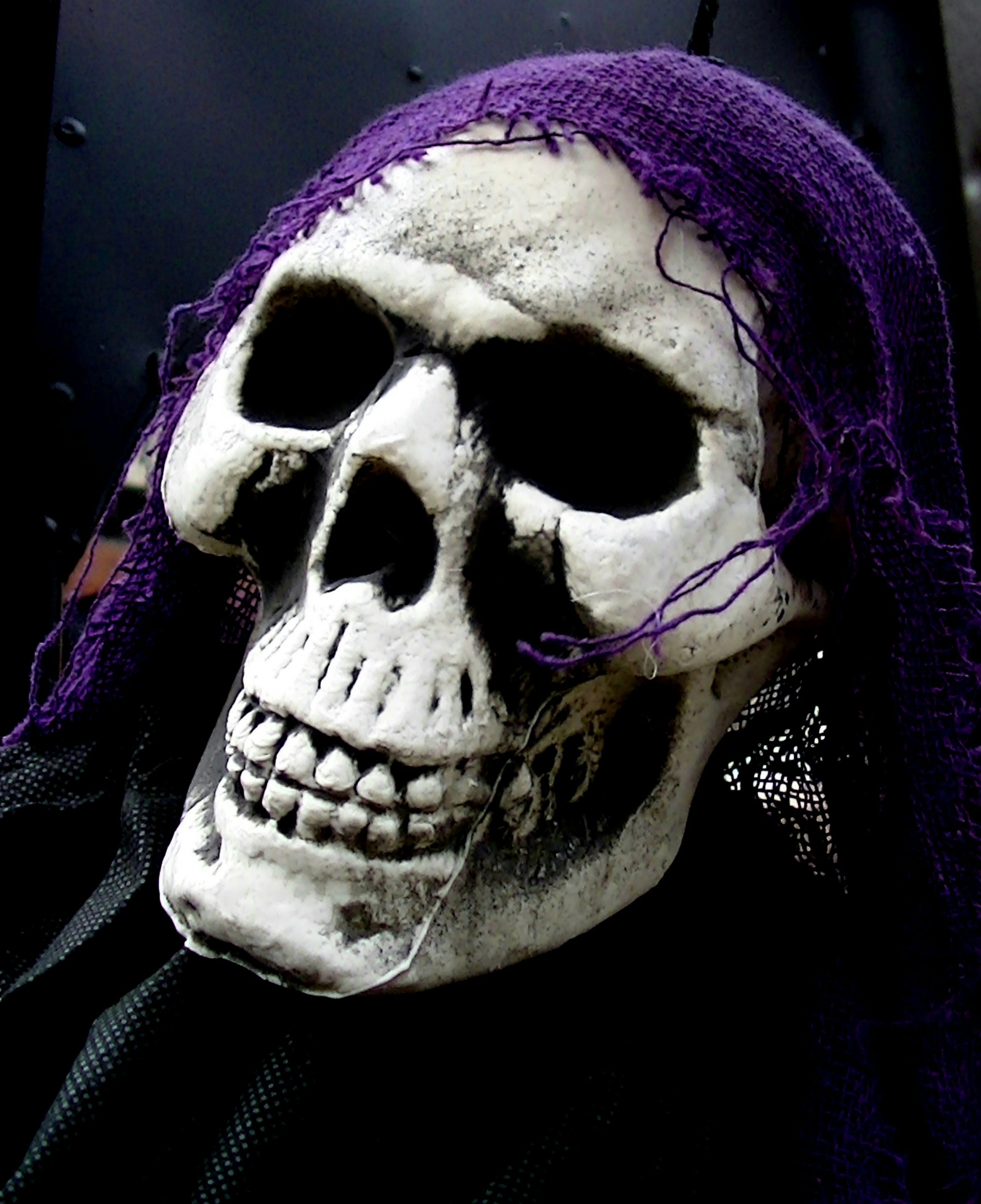 scary skeleton skeletons free photo