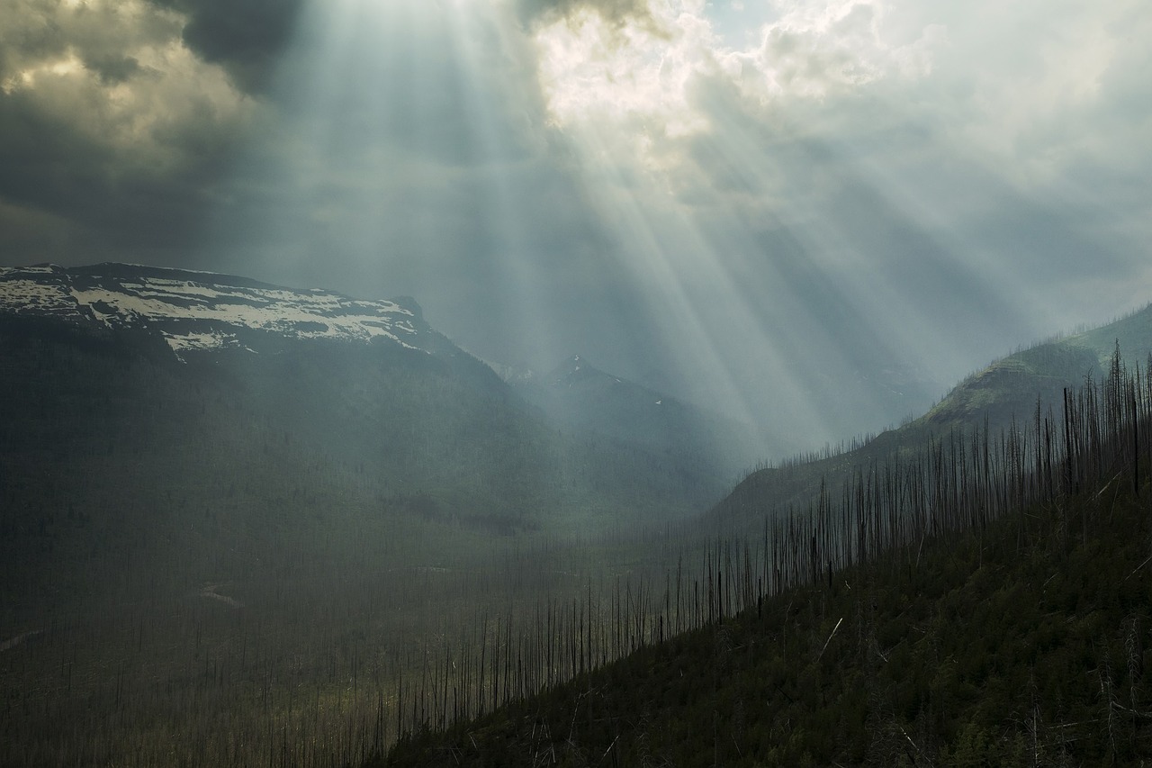 crepuscular rays sunlight nature free photo