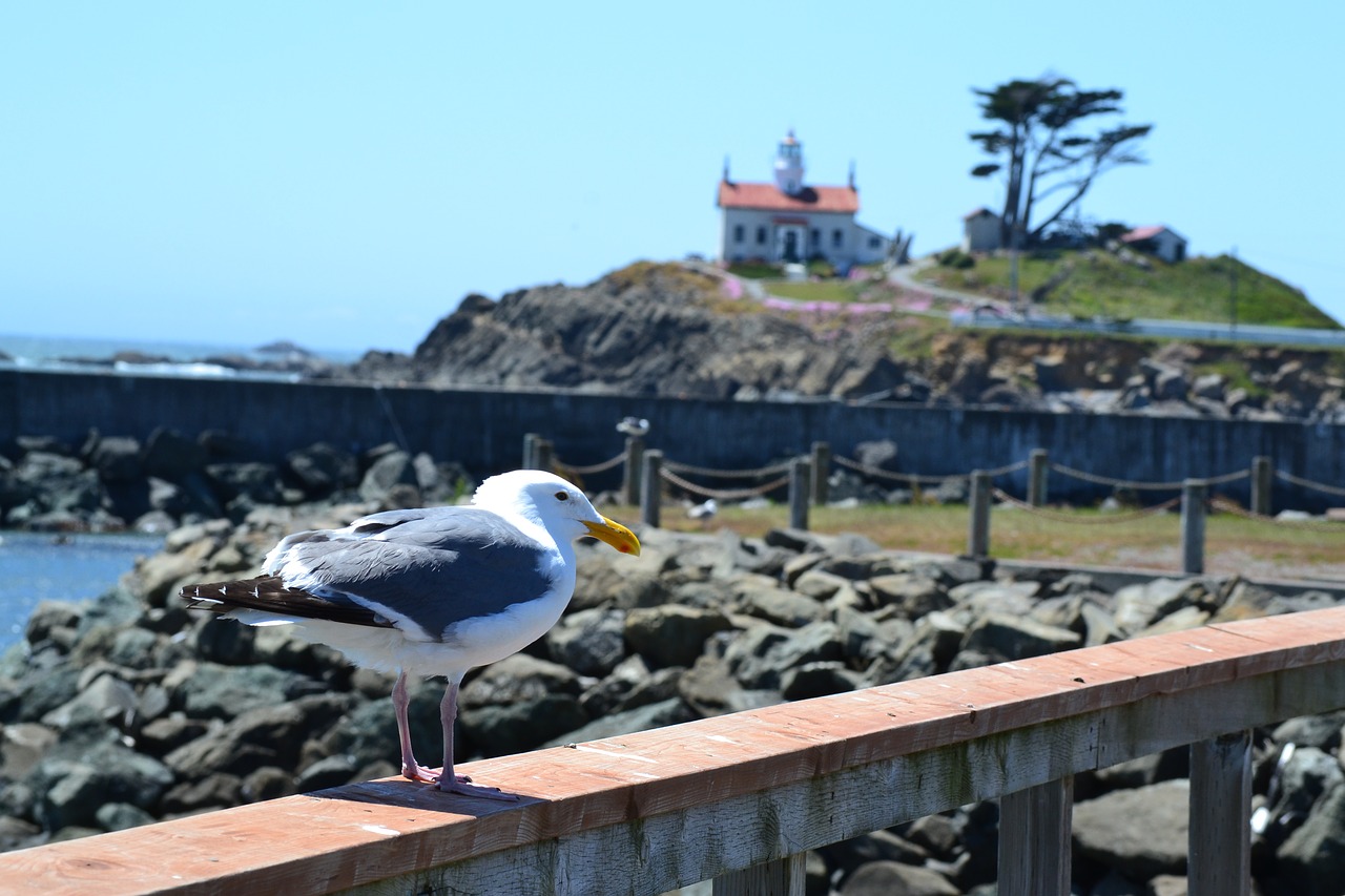 crescent city lighthouse free photo