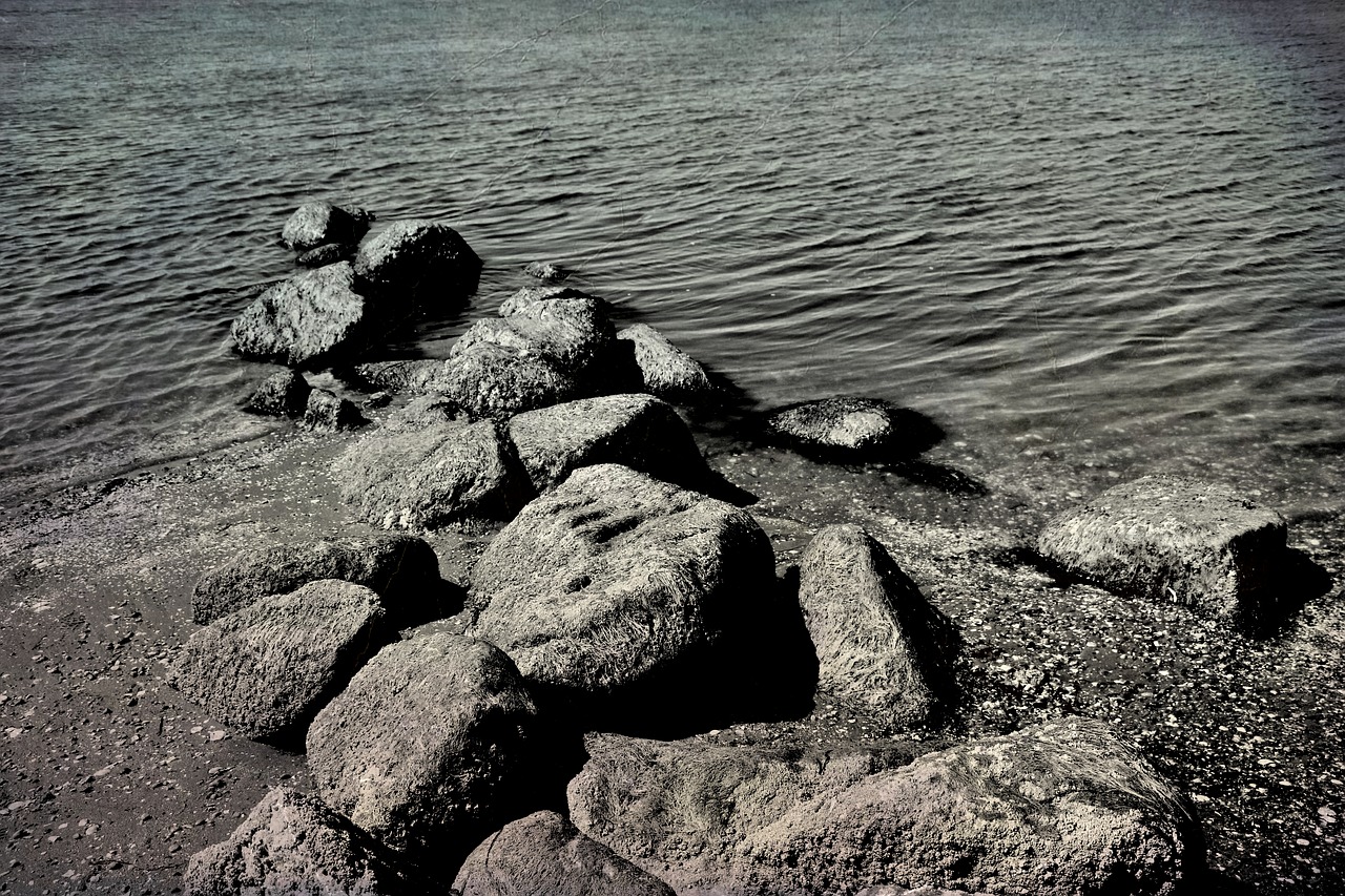 crescent beach  bc  ocean free photo