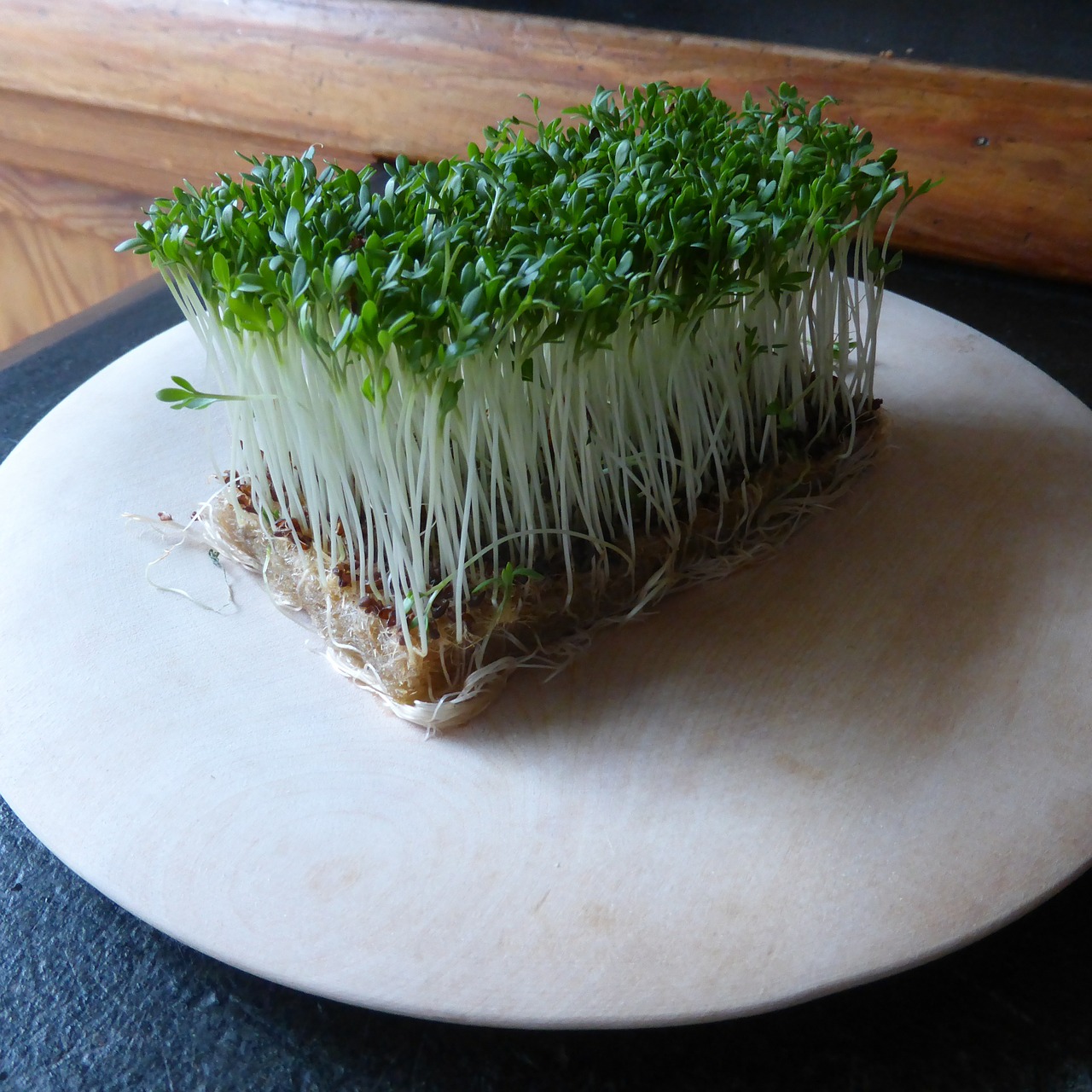 cress herbs green free photo