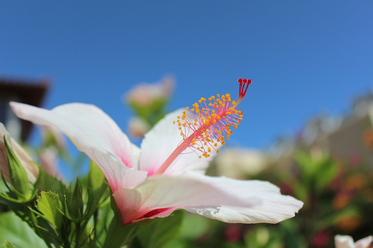 crete summer greece free photo