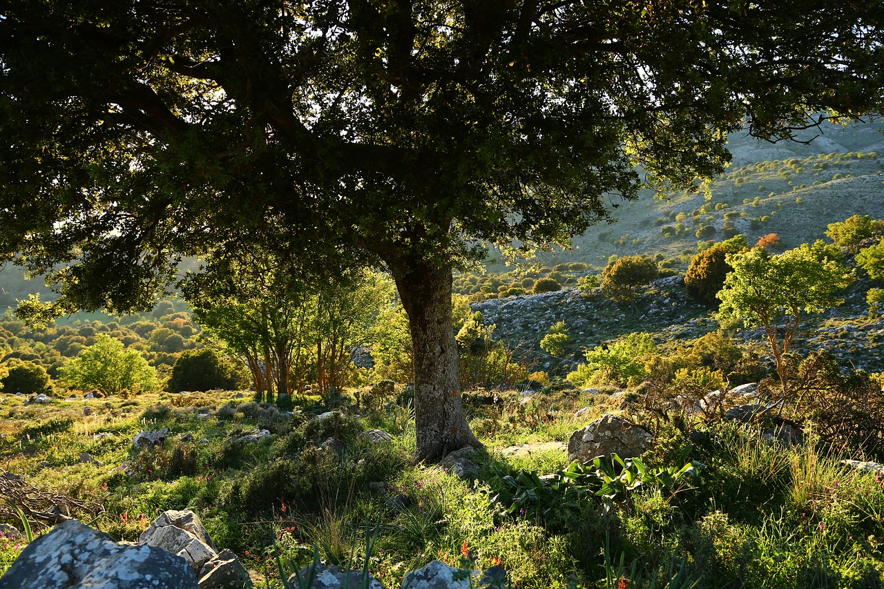 crete  mountains free pictures free photo