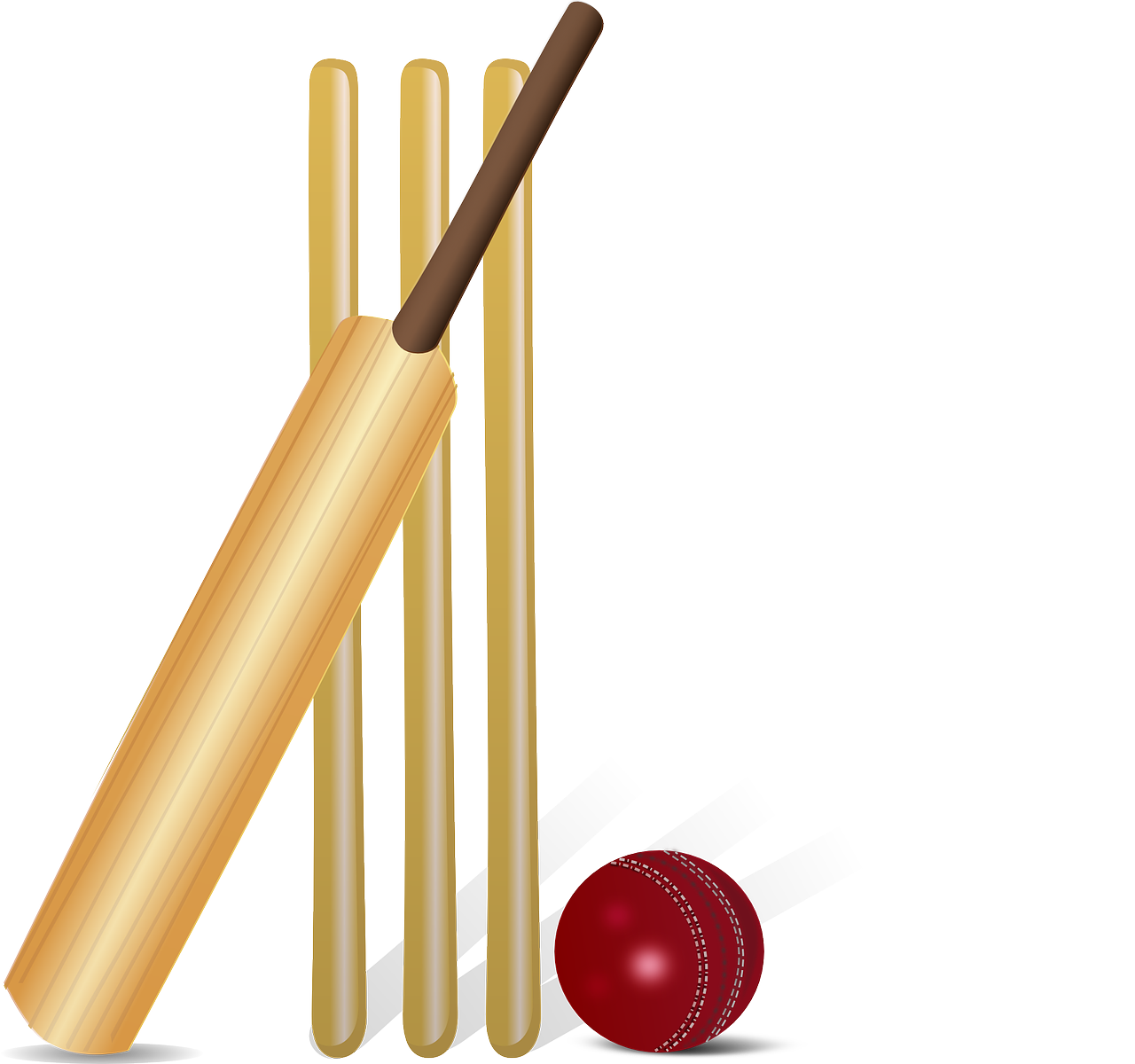 cricket cricket bat bat free photo
